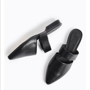 Able Napa mule size 9.5 NWT